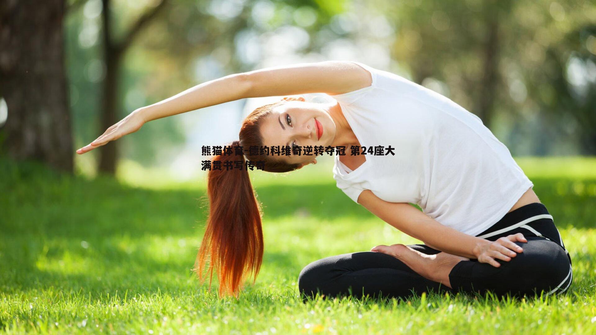 熊猫体育-德约科维奇逆转夺冠 第24座大满贯书写传奇